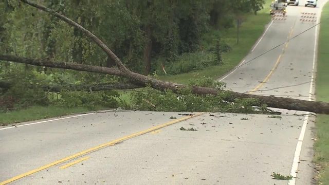 Trees fall in Harnett County, knocking out power