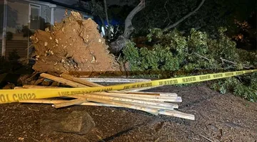 Tree uprooted at Raleigh apartment as Helene nears Carolinas