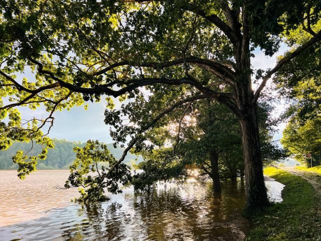 Biltmore Estate after Helene: Entrance flooded, some buildings damaged