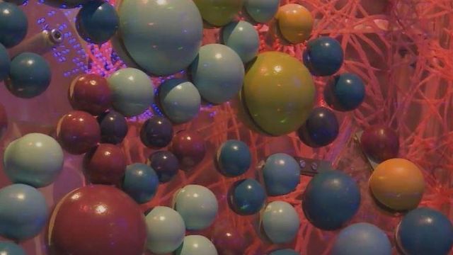 NC Museum of Natural Science explores microscopic organisms in new exhibit