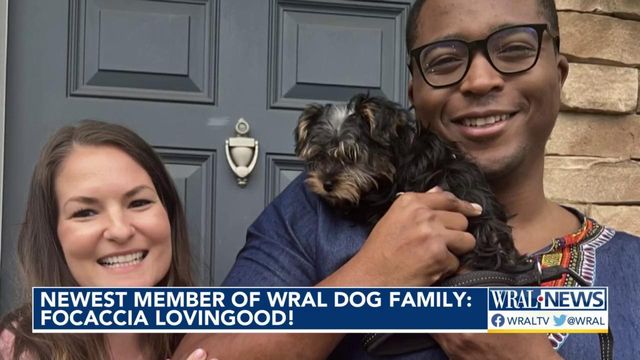 Newest member of WRAL Dog Family: Focaccia Lovingood