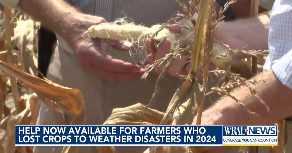 North Carolina farmers can apply for disaster relief after devastating ...