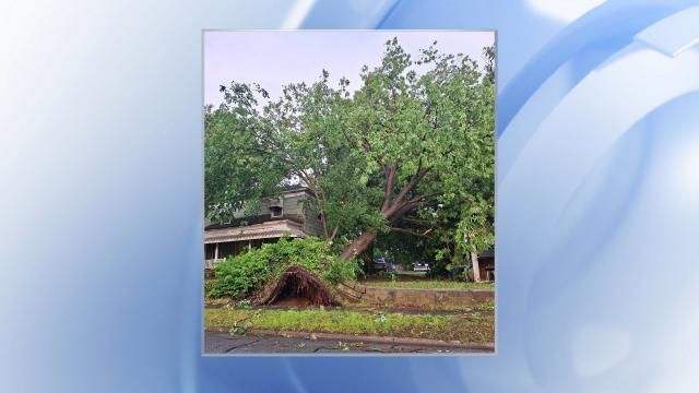 A tree falls on Sunset Avenue during storms in Roanoke Rapids on May 16, 2025.