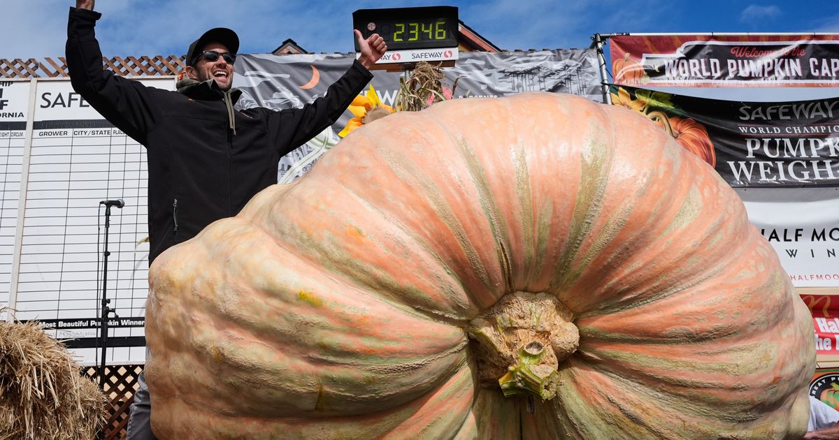 A giant pumpkin named Rocky gives a champion grower his California comeback
