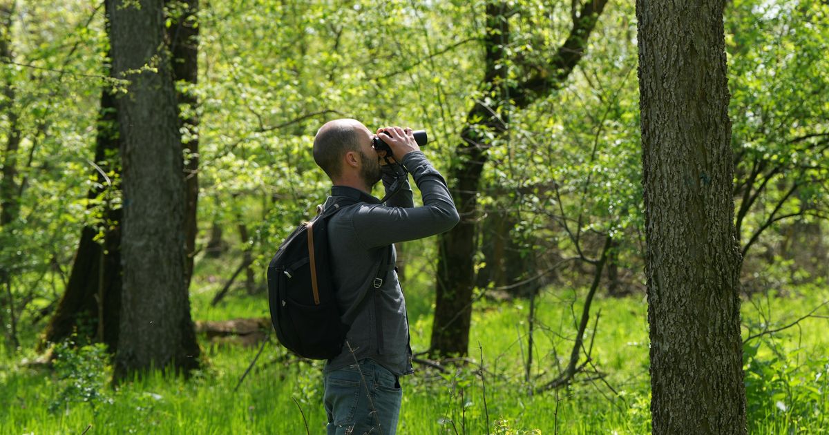 A Serbian bird-watching group uses crowdfunding to buy and preserve a woodland habitat