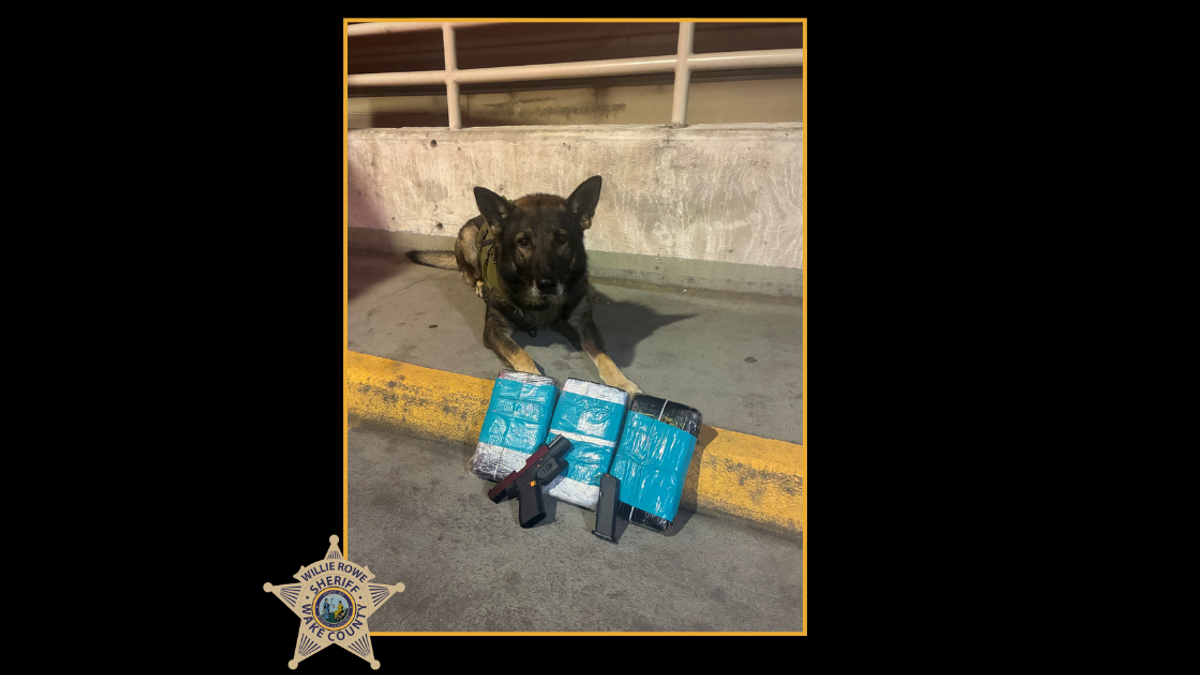 Wake County deputies seize 14 kilograms of cocaine after traffic stop ...