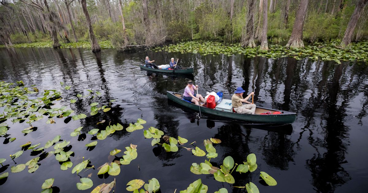 Georgia's Okefenokee Swamp among new additions to join UNESCO's World Heritage List