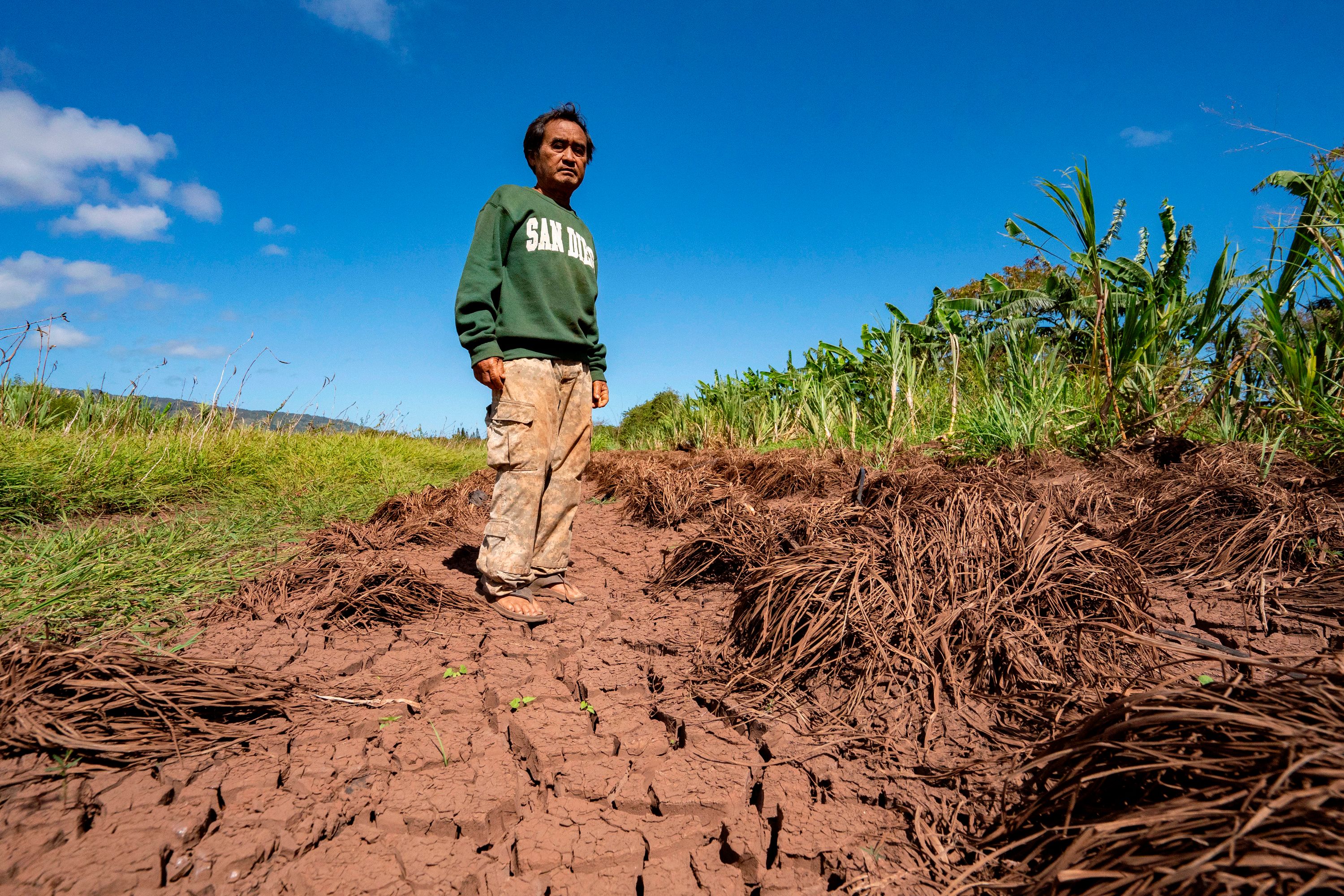 wral.com - JENNIFER SINCO KELLEHER — Associated Press - Hawaii's worst flooding in 20 years leaves farmers struggling and fewer veggies at the market