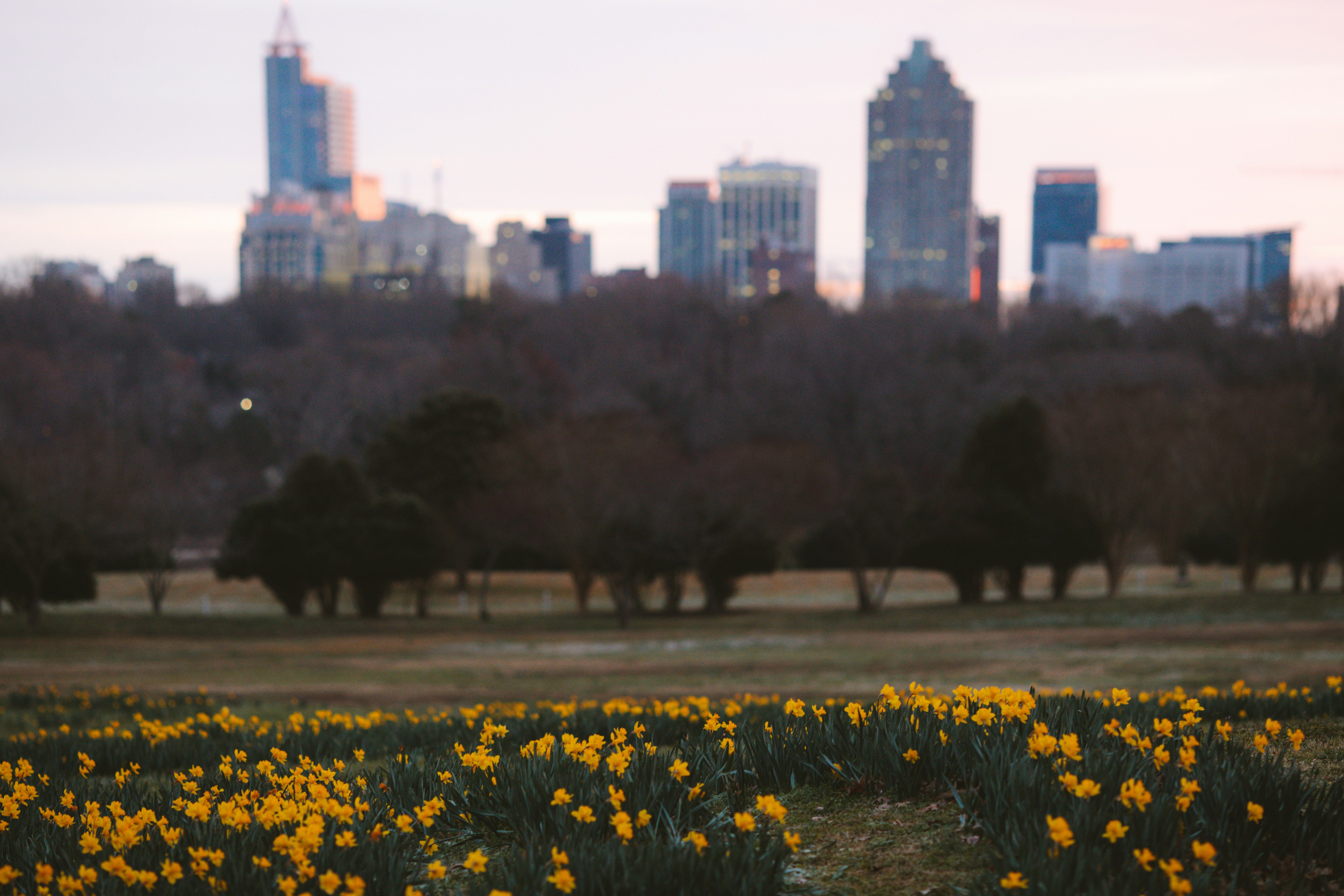 Raleigh ranks among the 10 sweatiest cities in America