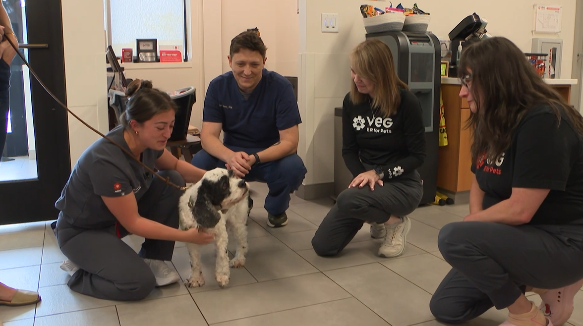 Animal Rescue News and Reporting Coverage | WRAL