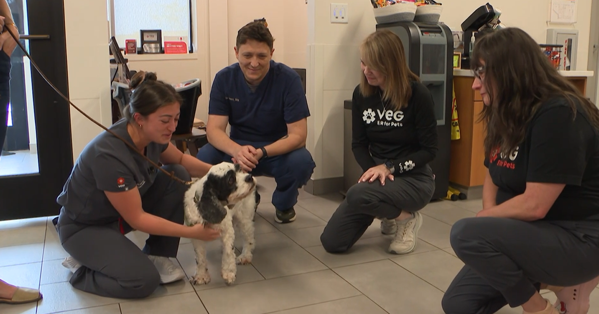Rescuers celebrate Mr. Pickles