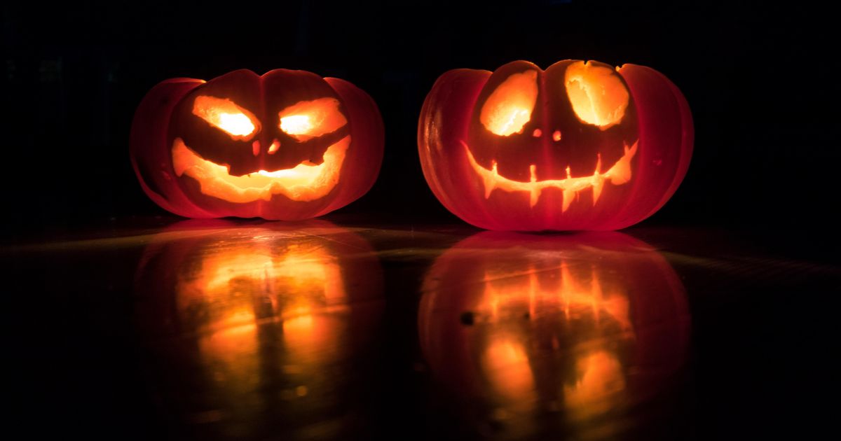 Keeping kids visible and pets from escaping on Halloween