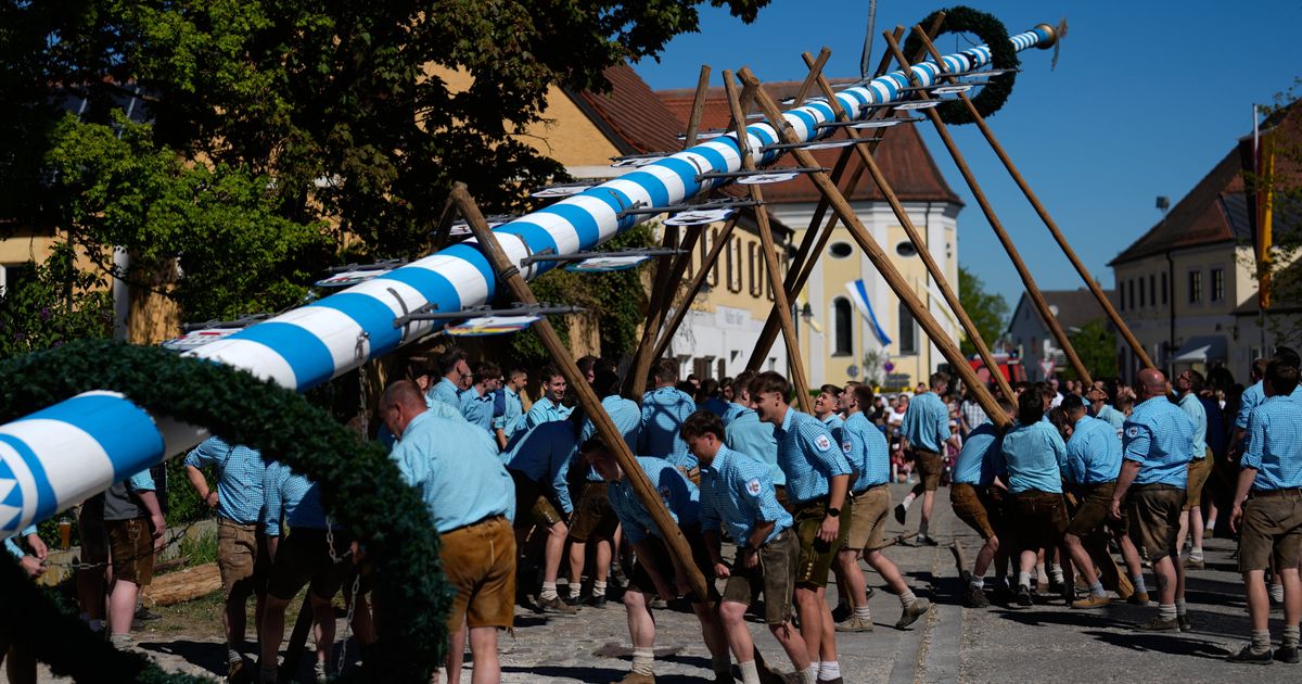 Beer, music and shouts of ‘Hau-Ruck’ as a Bavarian village raises its new maypole