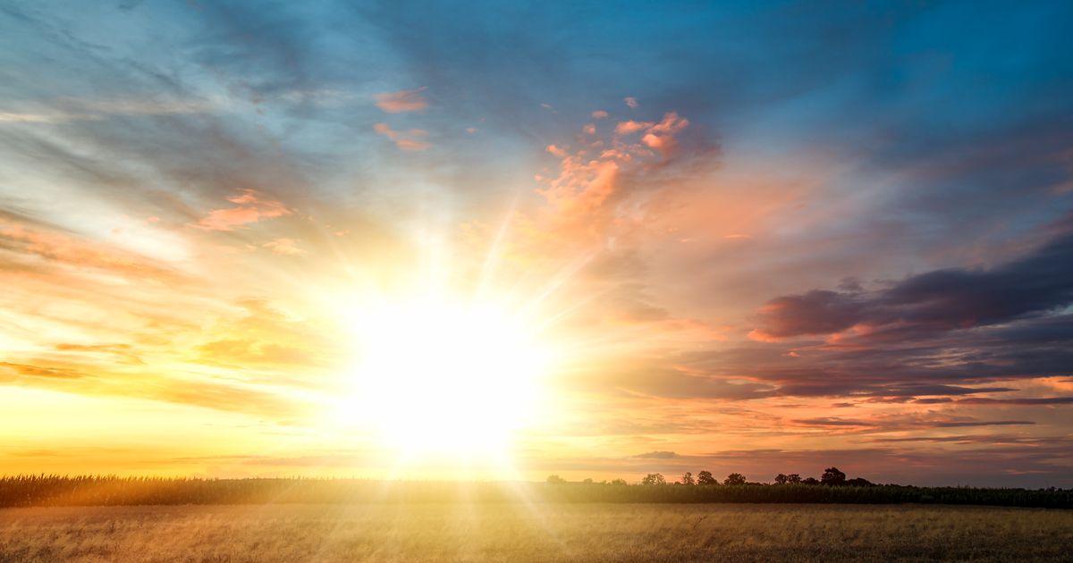 Thriving amid fear: Do it afraid