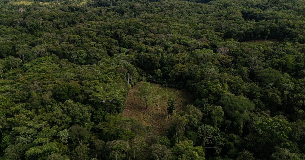 Colombia will use drones to destroy coca crops as it grapples with record cocaine production