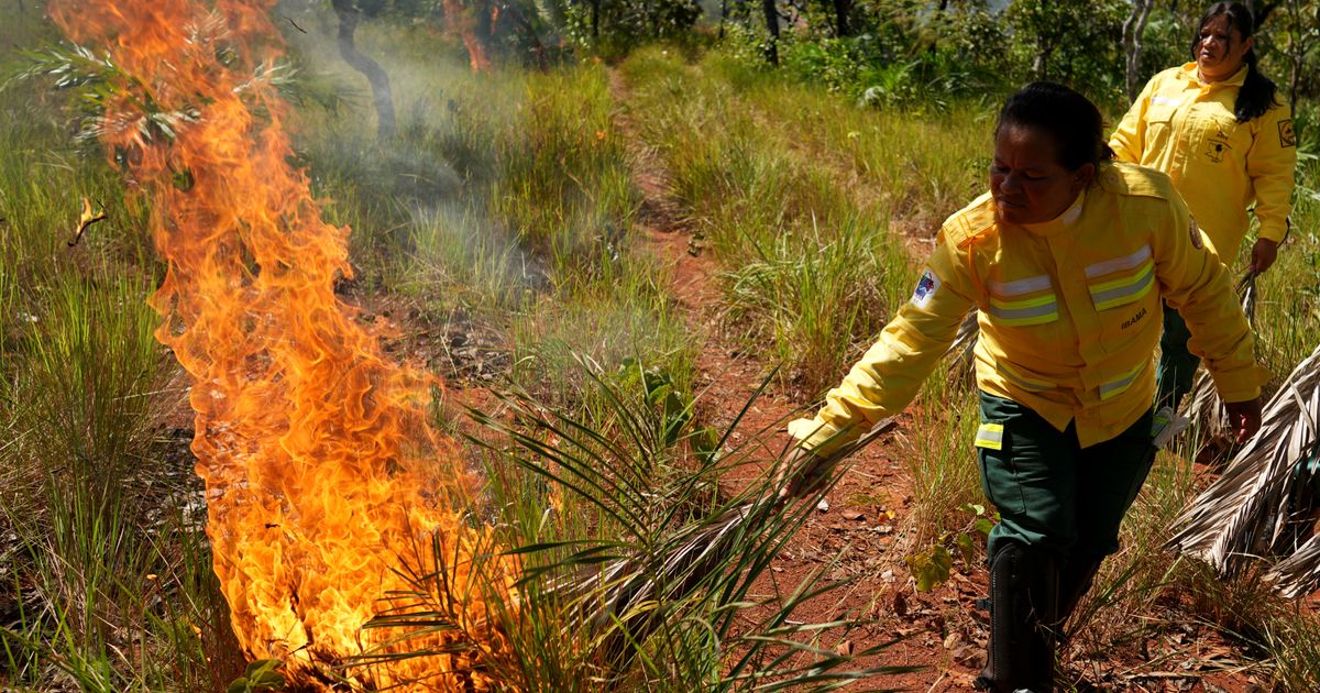 In Brazil’s Cerrado region, Indigenous fire practices reshape wildfire strategy