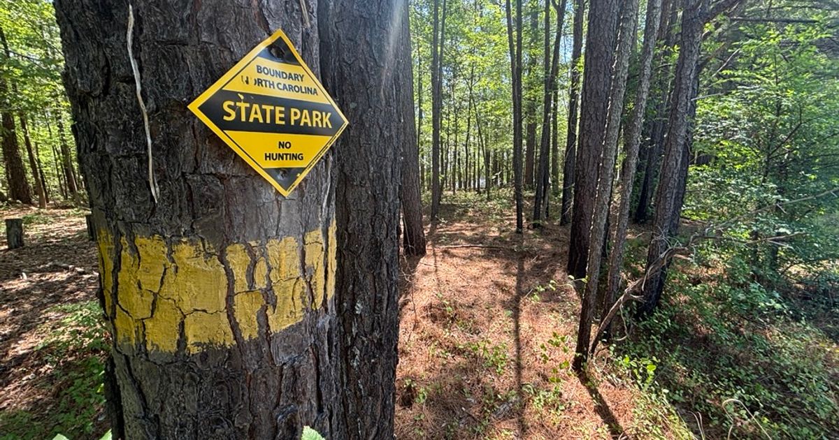 Dismembered body found last year near Falls Lake identified in new search warrant