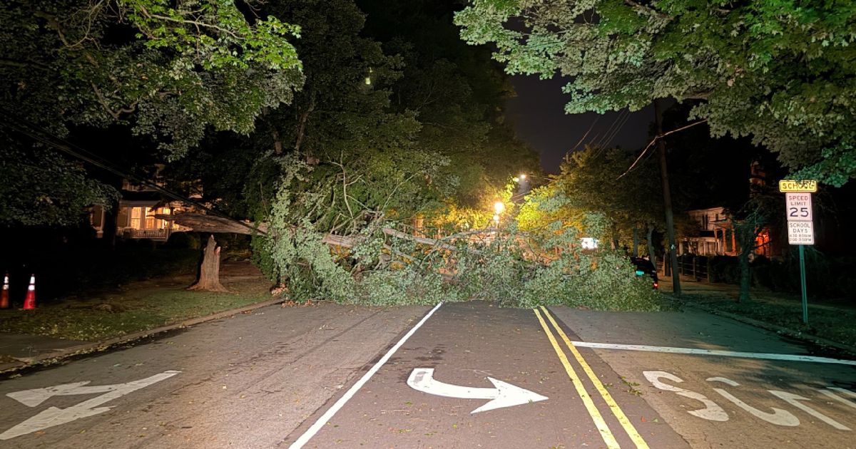 Strong overnight storms topple trees, knock out power for hundreds in Granville County