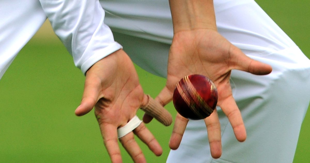 Amateur cricket match goes viral after cheating allegation