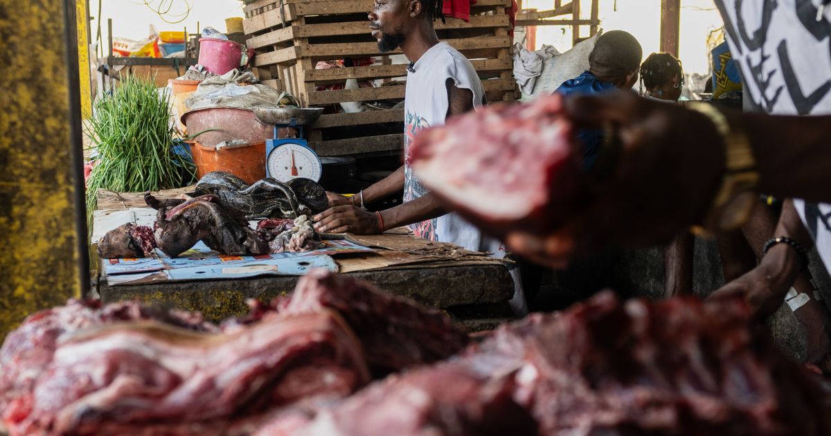 As Ebola scourges Congo, experts warn of link to eating wild animals