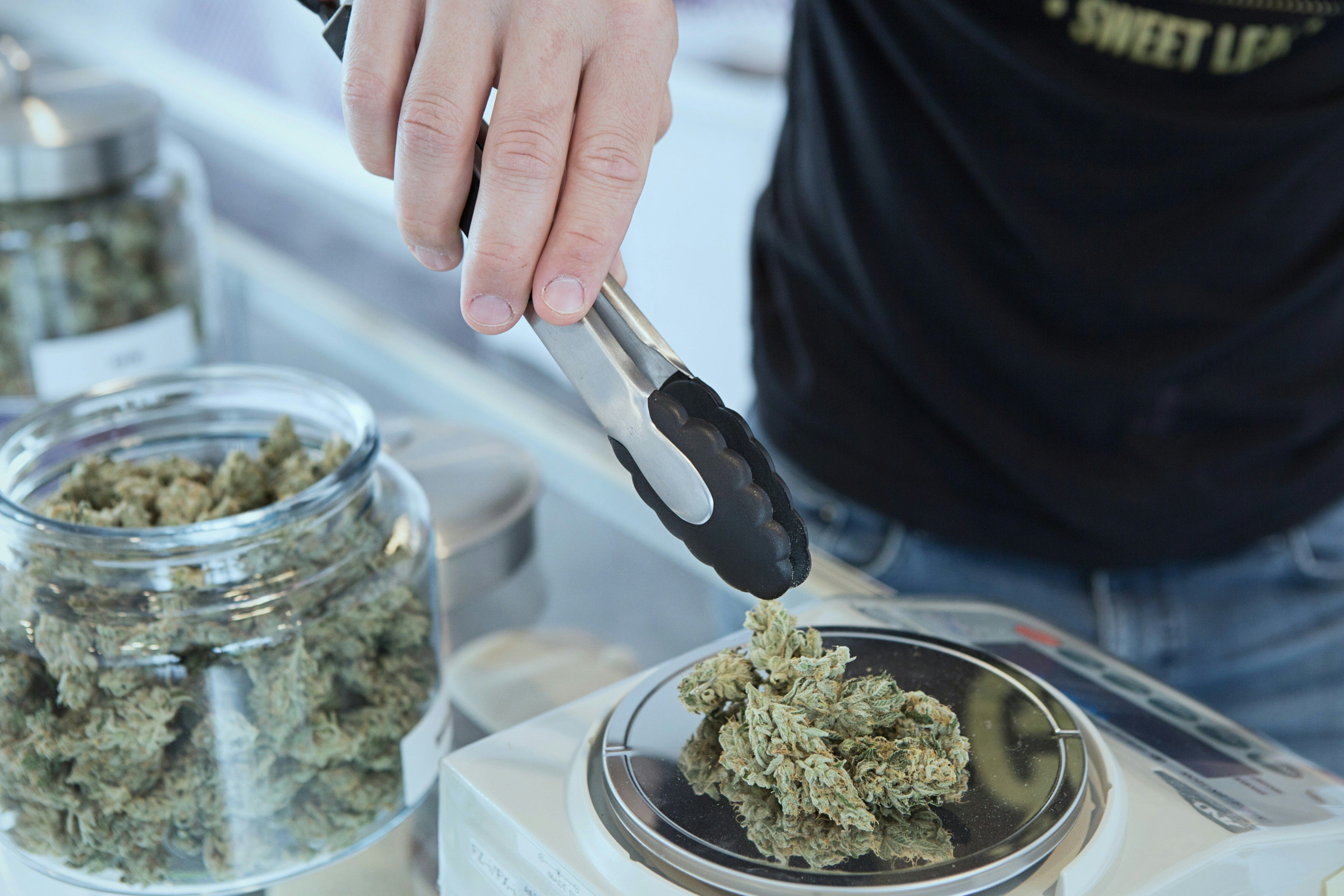 wral.com - WCNC - Most North Carolinians support legalizing marijuana, Elon poll finds