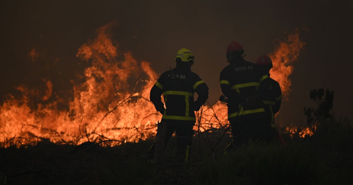 Wildfires in France drive 250,000 people from their homes and creep toward wine city of Bordeaux