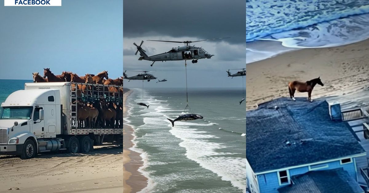 אתגרי הבינה המלאכותית: מפיטורי שווא להונאות חזותיות בזמן אסון