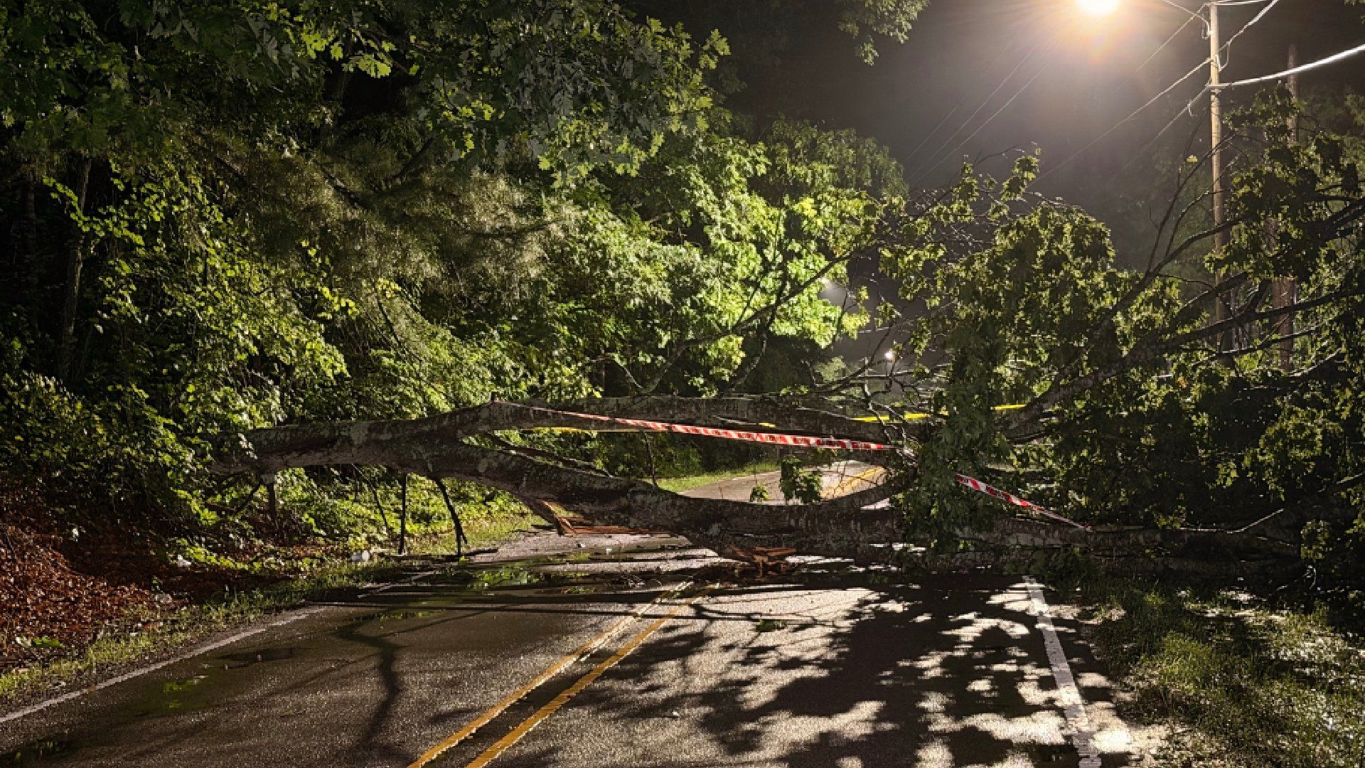 Early morning storms topple trees , knock out power in parts of the Triangle