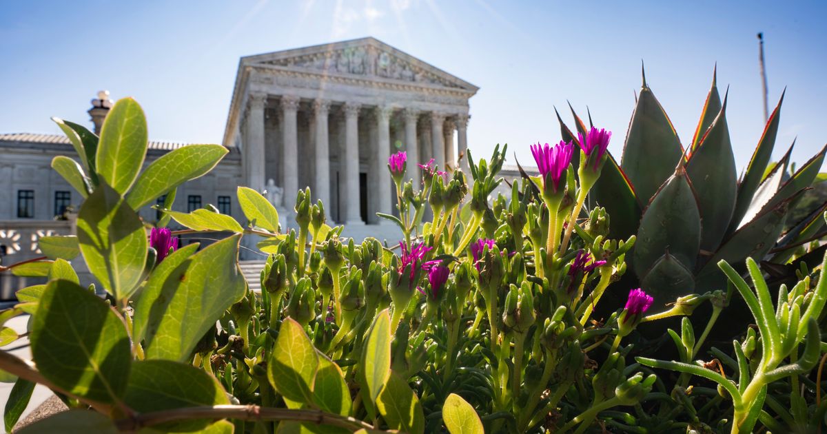Supreme Court allows expansive federal database for voter screening