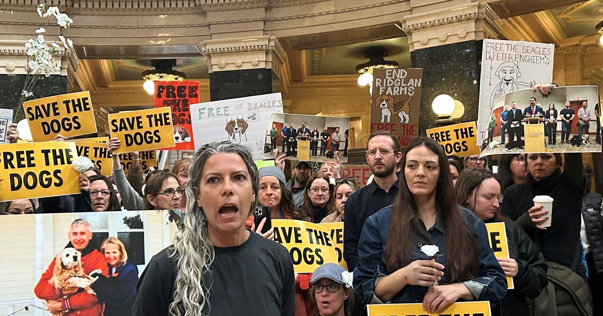 Animal welfare protesters converge on Wisconsin governor’s office seeking release of beagles