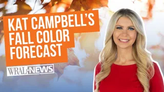 NC fall foliage forecast: The drought could impact our fall color