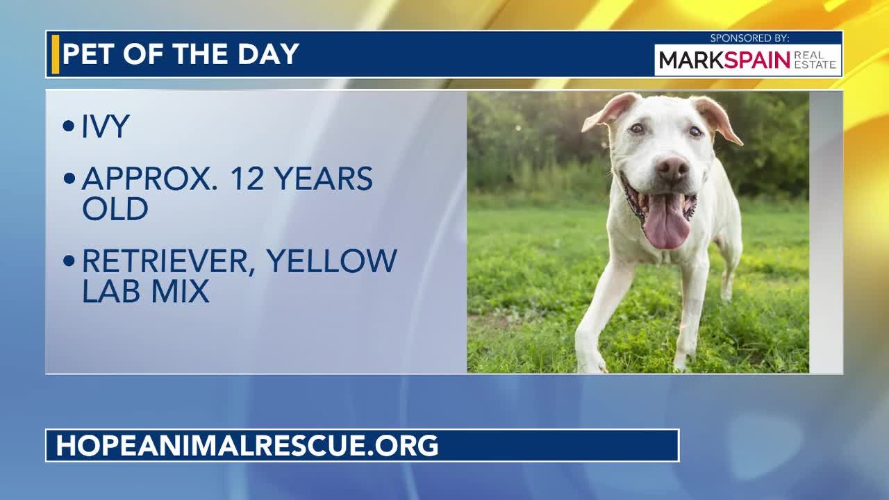 Pet of the Day September 17, 2026