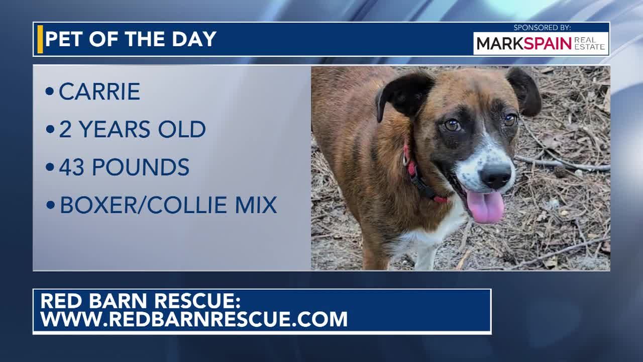 Pet of the Day September 15, 2026