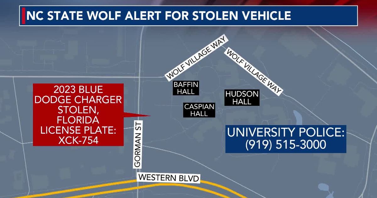 Theft News Image