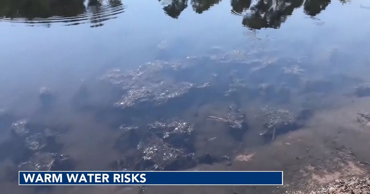 From bacteria to harmful algae, warmer waters bring changing risks - WRAL
