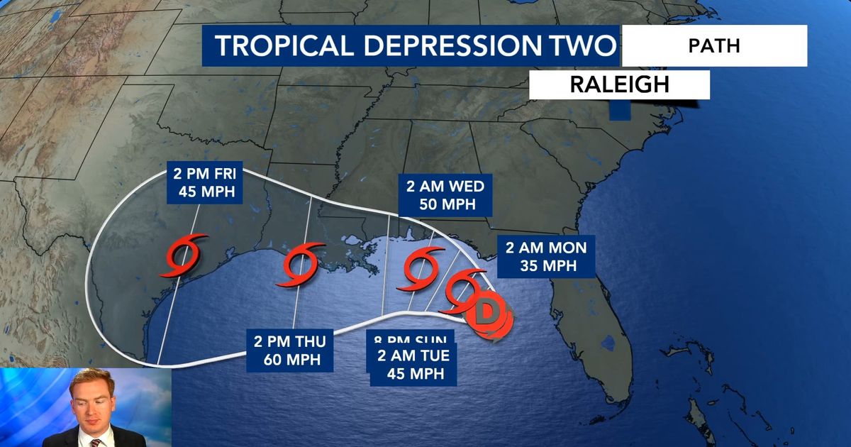 Tracking the tropics: Tropical Depression Two forms in the Gulf