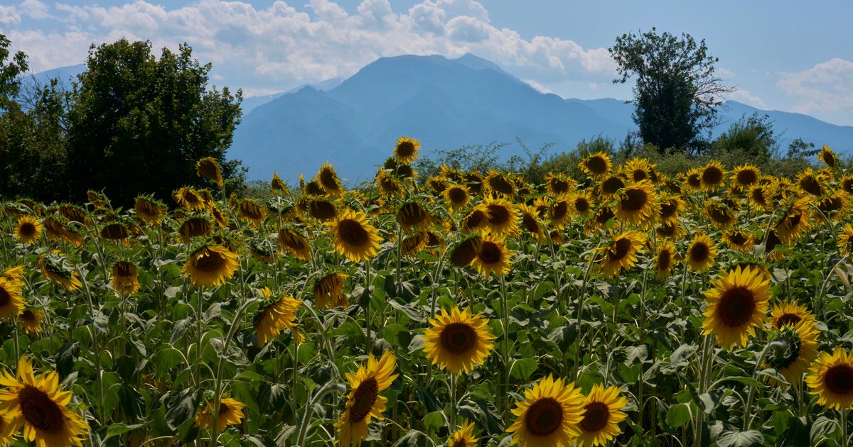 Mount Olympus, home of the ancient Greek gods, is a candidate for the UNESCO World Heritage List