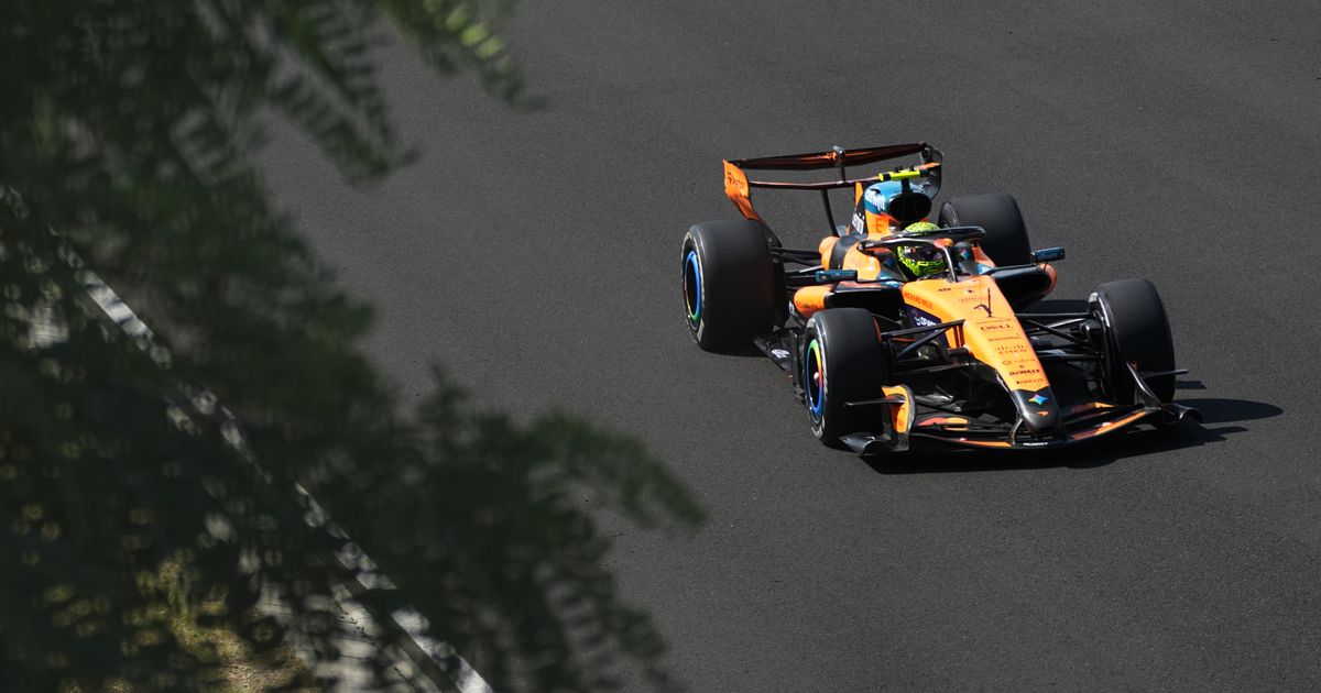 Norris ends wait for F1 win in Hungary as Antonelli stretches championship lead