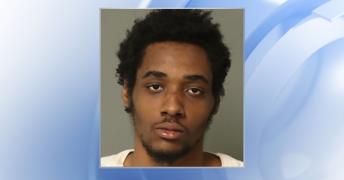 Raleigh man arrested after chase and crash with police vehicle