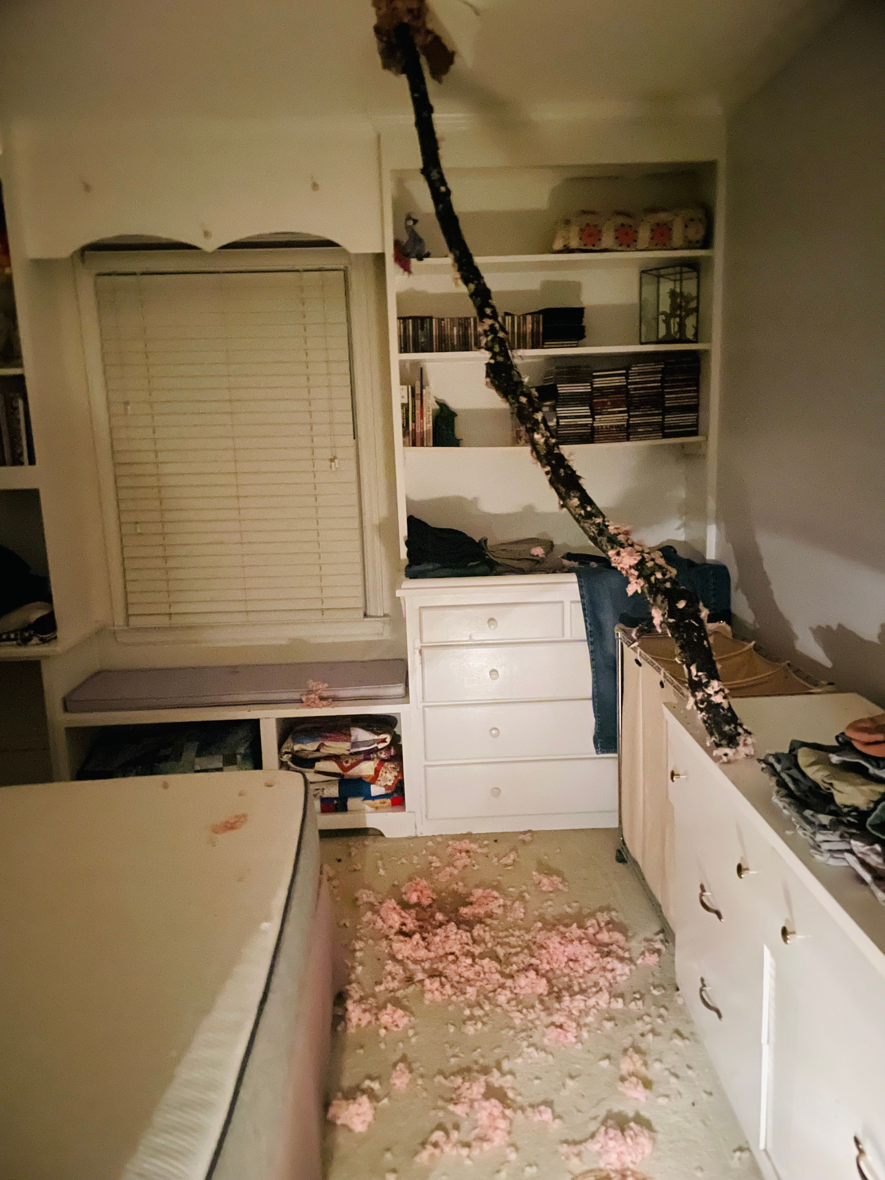 Man killed when tree falls on Wake County home during strong storms