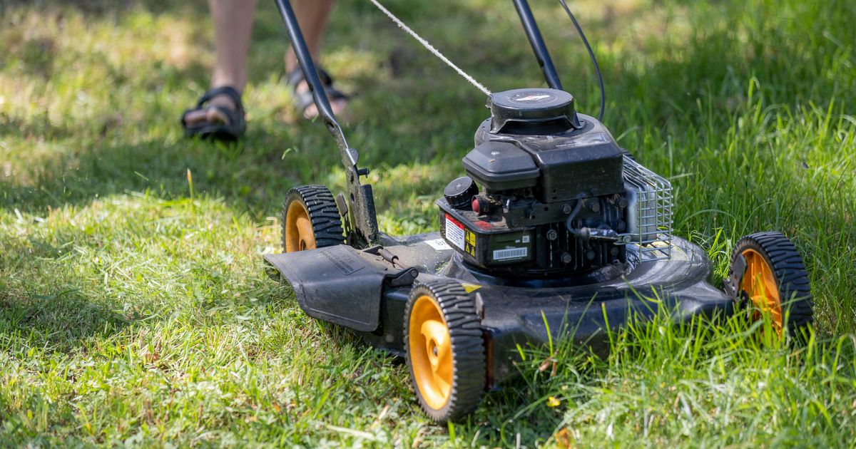 5 On Your Side: How to keep kids safe during fall yard work