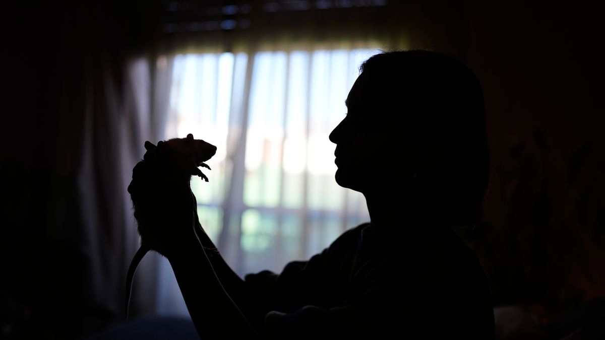 Dominique Verdier holds Carlota, a former laboratory rat she adopted, in Buenos Aires, Argentina, Friday, May 15, 2026. (AP Photo/Natacha Pisarenko)