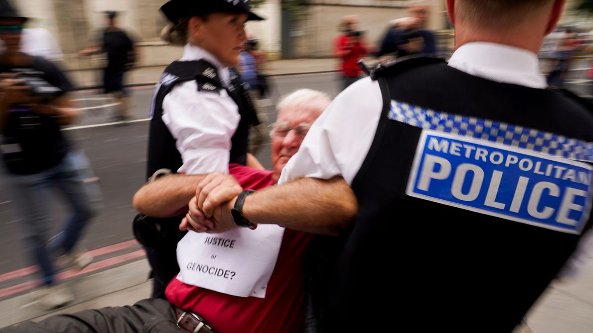 London Police Arrest 117 Outside the First Palestine Action Court Hearings