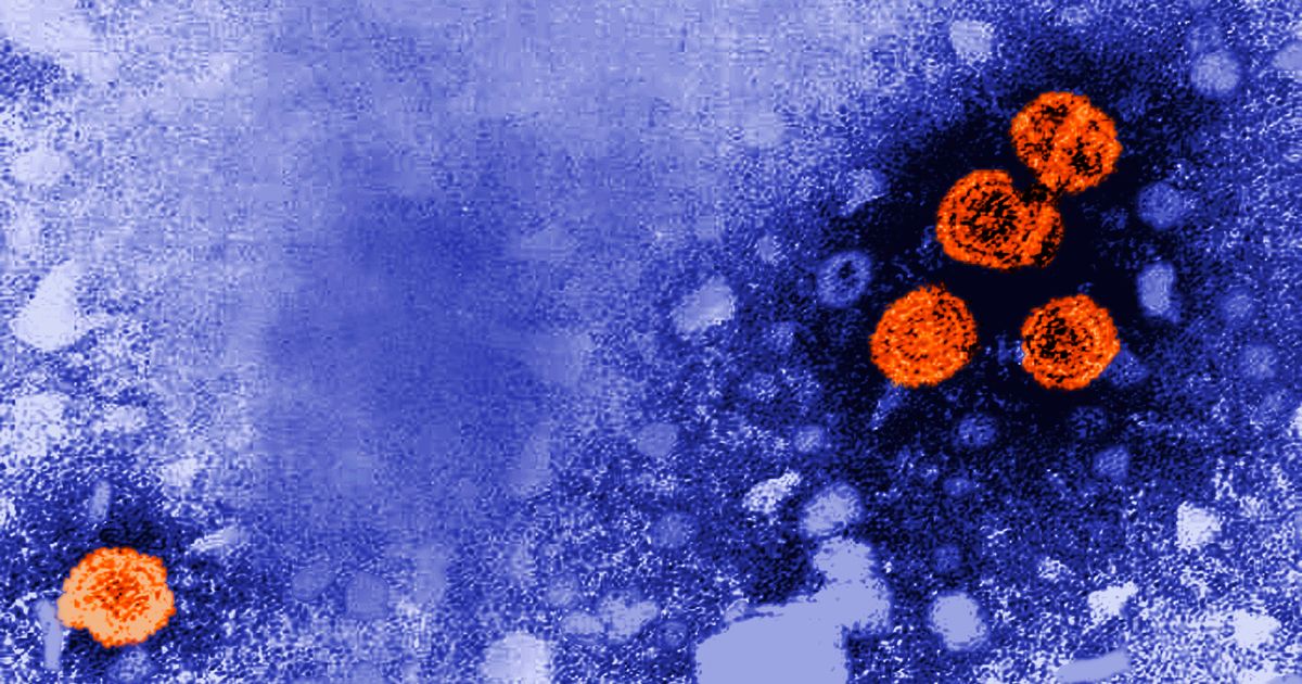 Experimental hepatitis B drug might offer ‘functional cure’ for a subset of patients