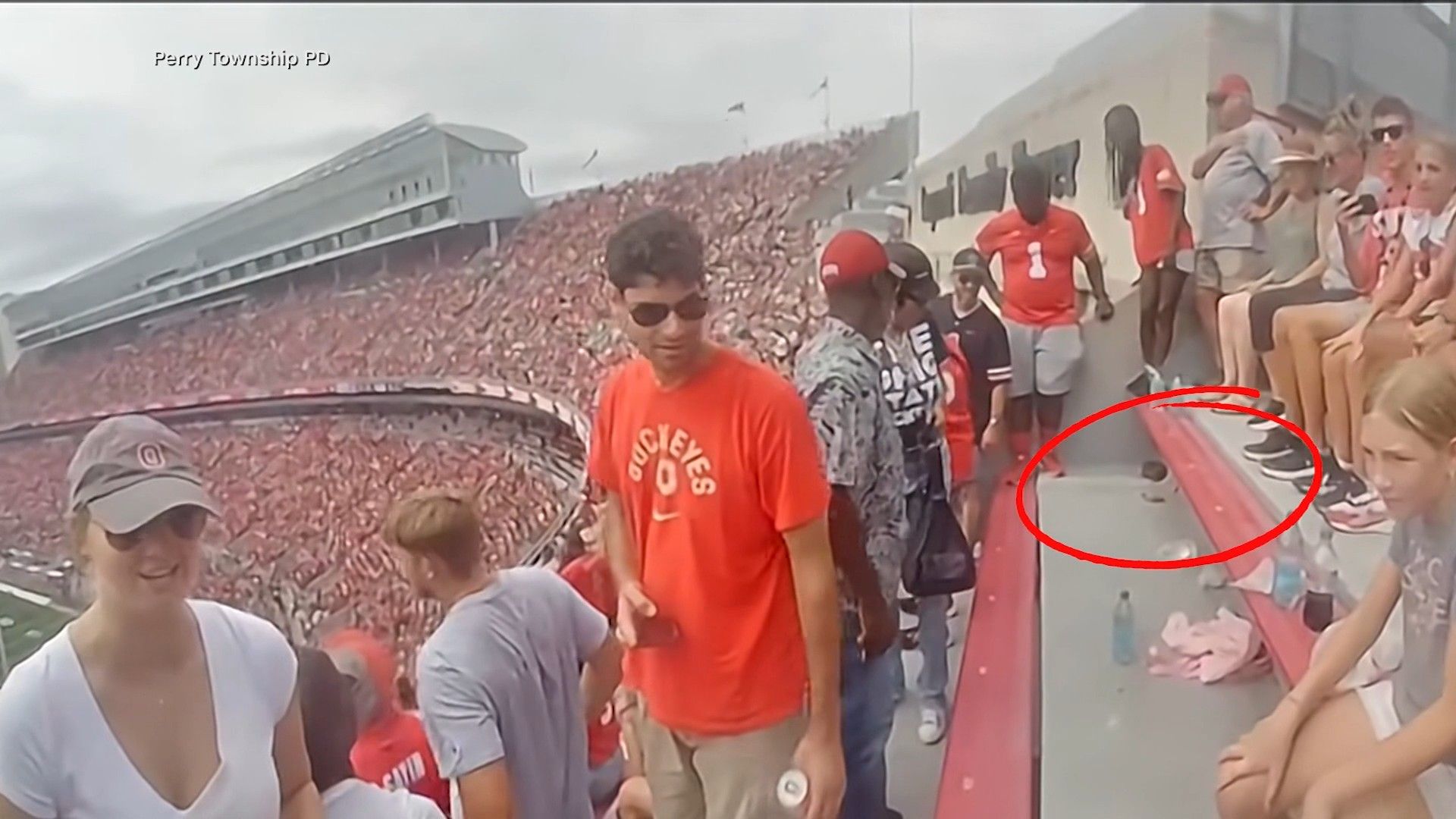 Game day rescue: officer turns beer box and pretzel into squirrel-saving gear