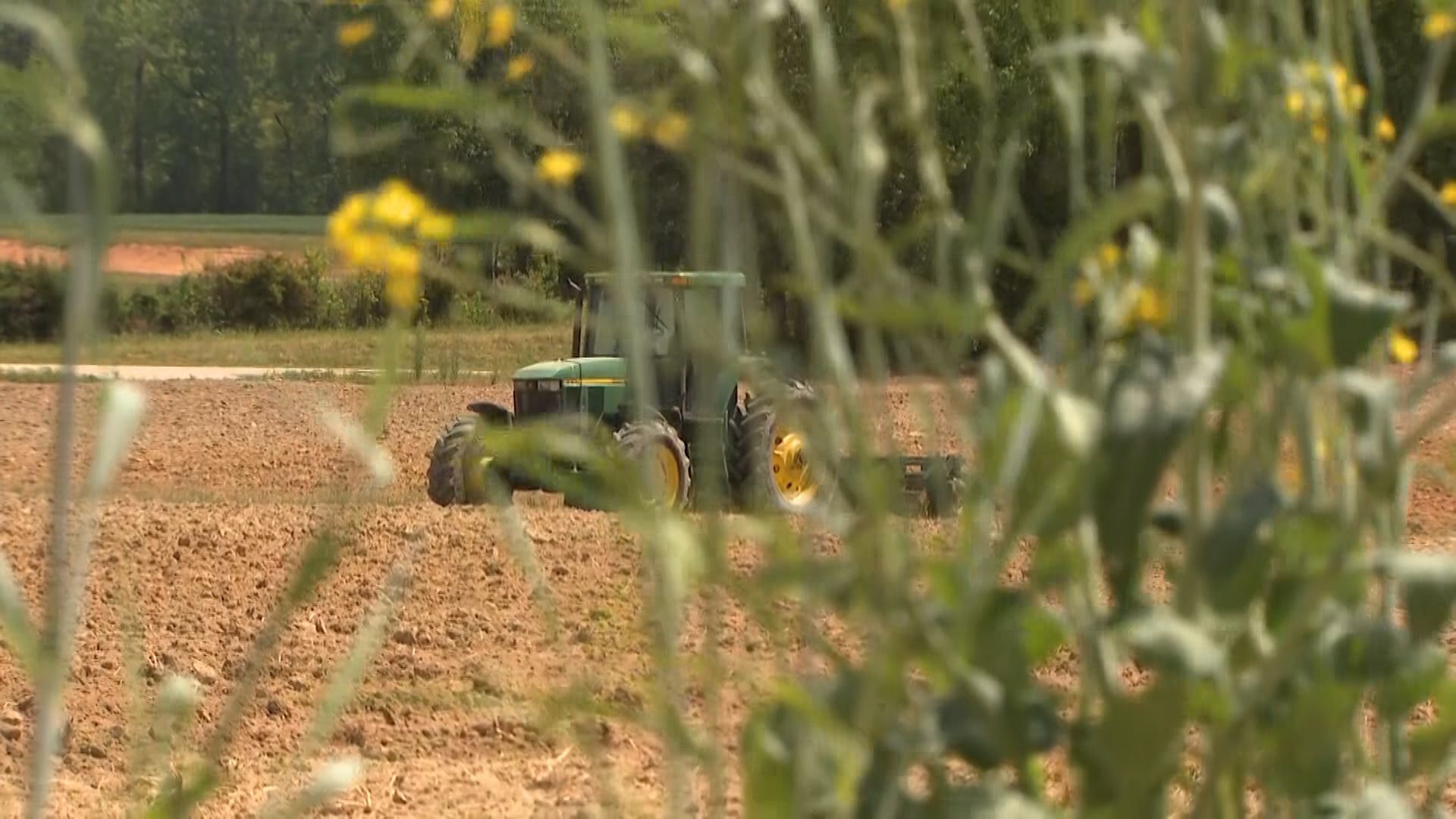 wral.com - Carolina Yaffa and Bailey Stamos, WRAL News - With food costs in mind, federal and state officials offer fuel relief to NC farmers