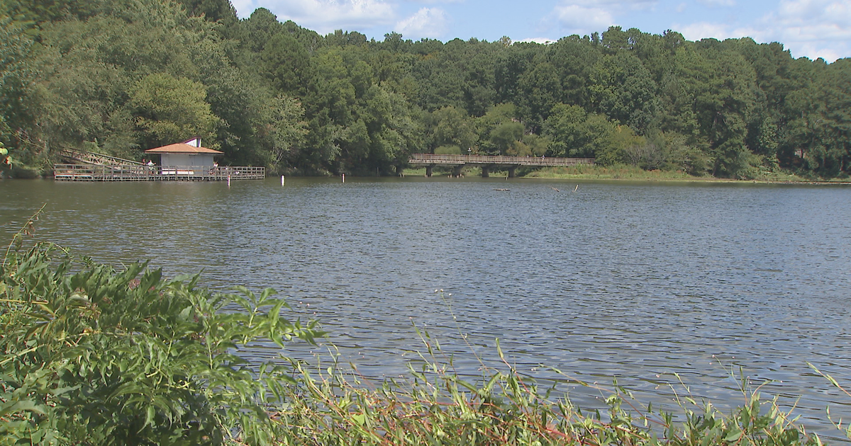 Bat rescued from drowning at Shelley Lake tests positive for rabies
