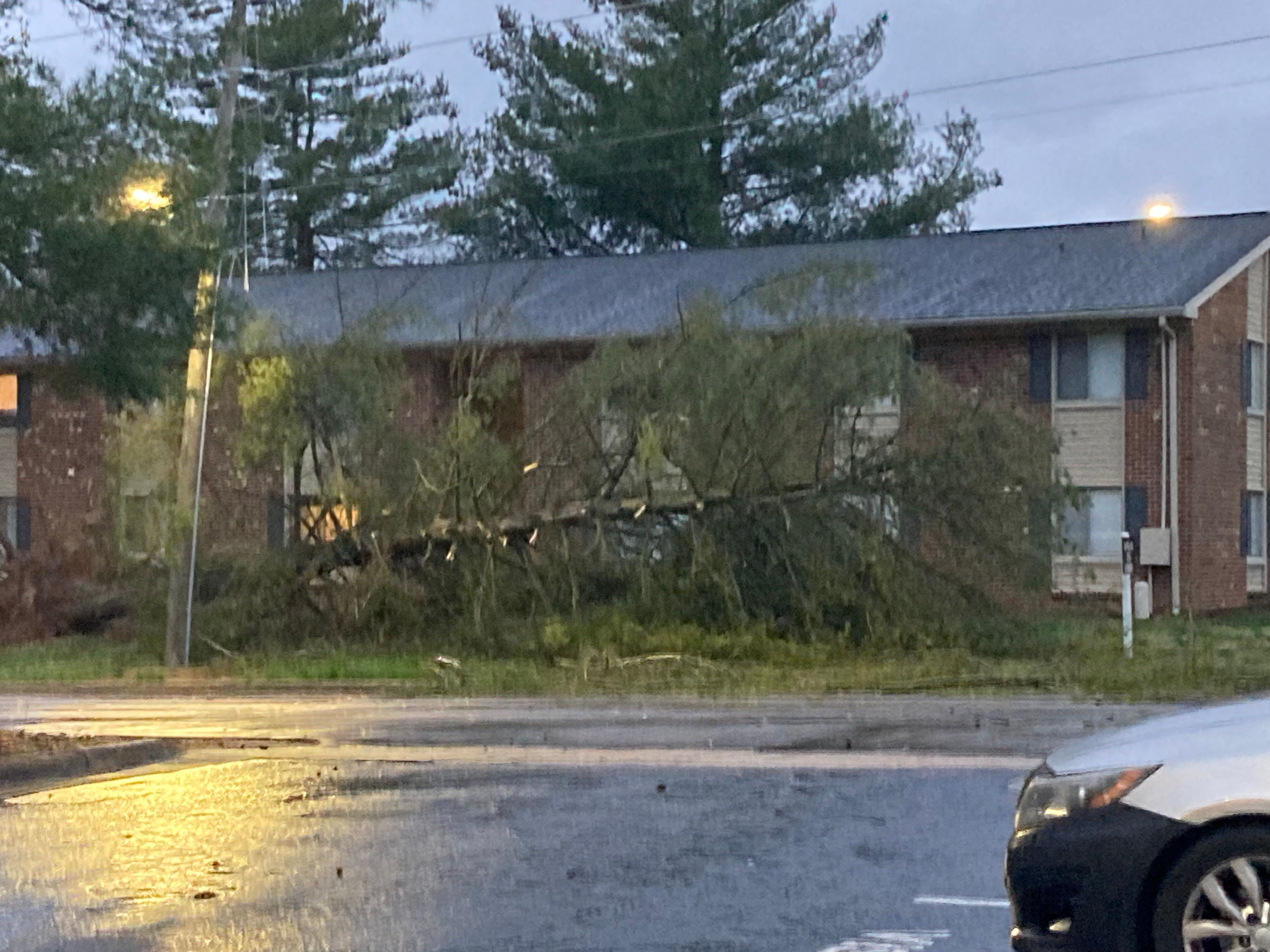 e91853be 4046 471b 83d2 b4d34b081176