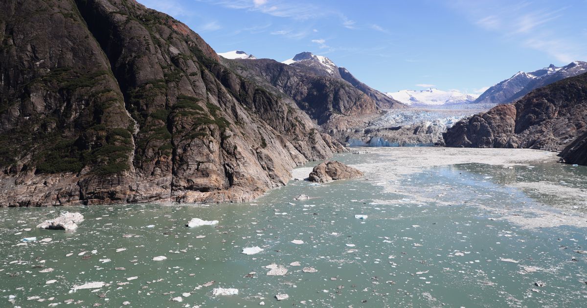 Cruise companies to Alaska are avoiding a popular excursion to Tracy Arm after a massive landslide