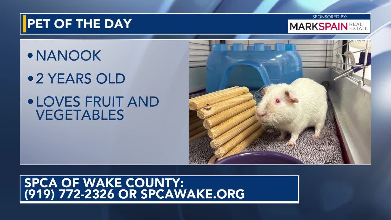 Pet of the Day September 18, 2026